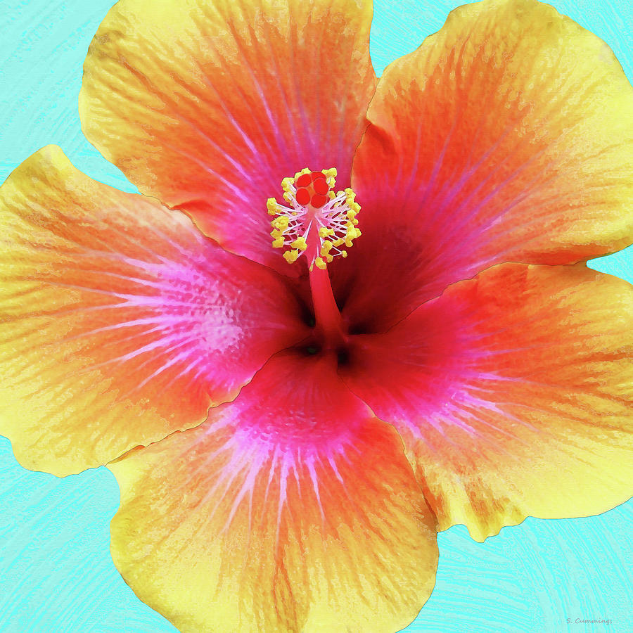 Big Hibiscus Tropical Flower Art Painting by Sharon Cummings