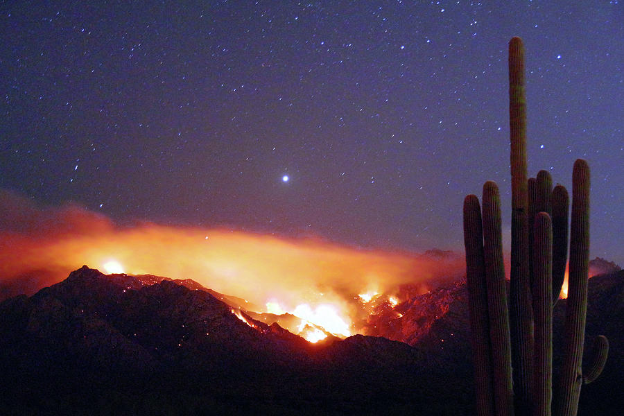 Tucson Photograph - Bighorn Fire At Night by Douglas Taylor