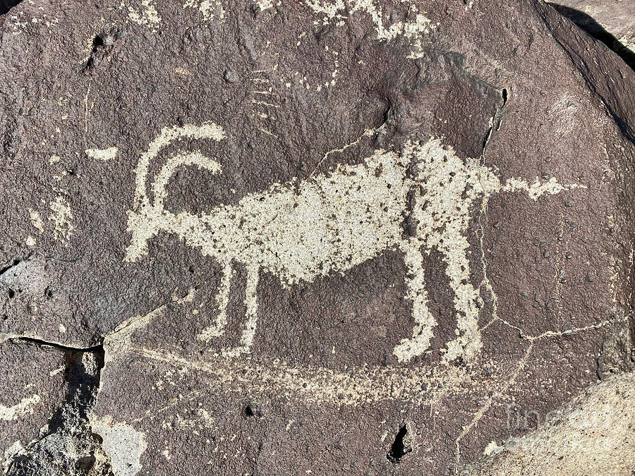Big Horn Petroglyph Digital Art by Doug Gist
