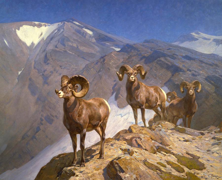 Animal Painting - Big Horn Sheep on Wilcox Pass by Carl Rungius