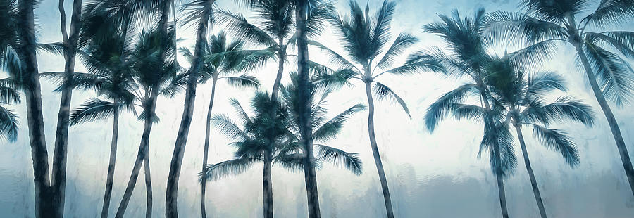 Big Island Palms Photograph by Don Schwartz