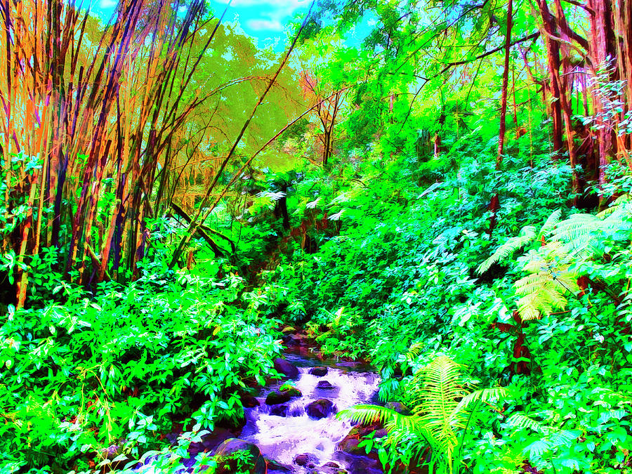 big island hapu forest big island hapu forest