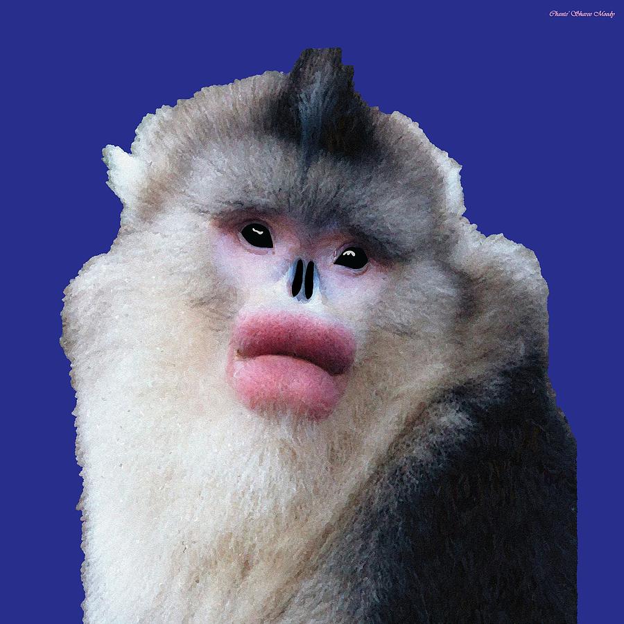 Monkey Digital Art - Big Lipped Snubbed-Nose Monkey by Chante Moody