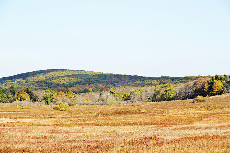 Big Meadows Prairie Shenandoah National Park Virginia Color 8727377 ...