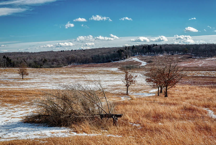Big Meadows Winter Piney 2021 Photograph by Lara Ellis
