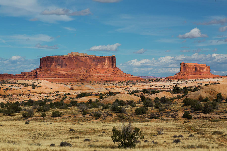 Big Mesa Photograph by Dan Hartford