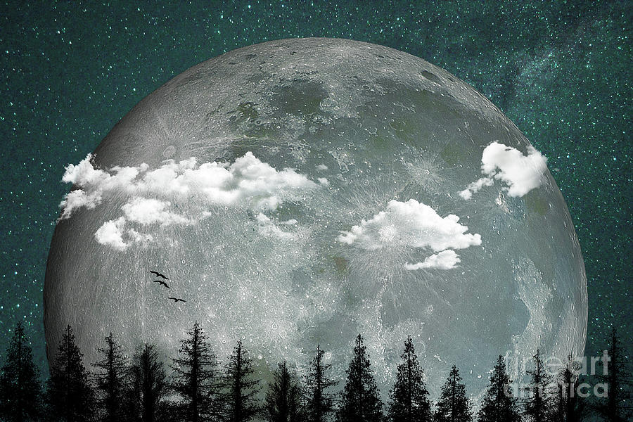 Big Moon Over Forest Digital Art