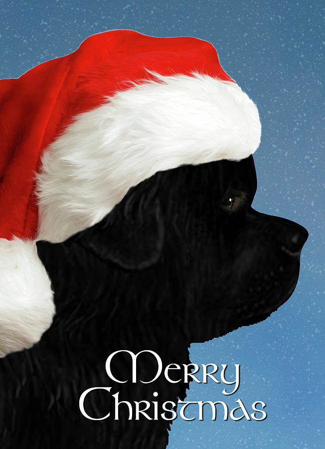 Newf Digital Art - Big Newfie Christmas Card by Christine Mullis Newf Digital Art - Big Newfie Christmas Card by Christine Mullis