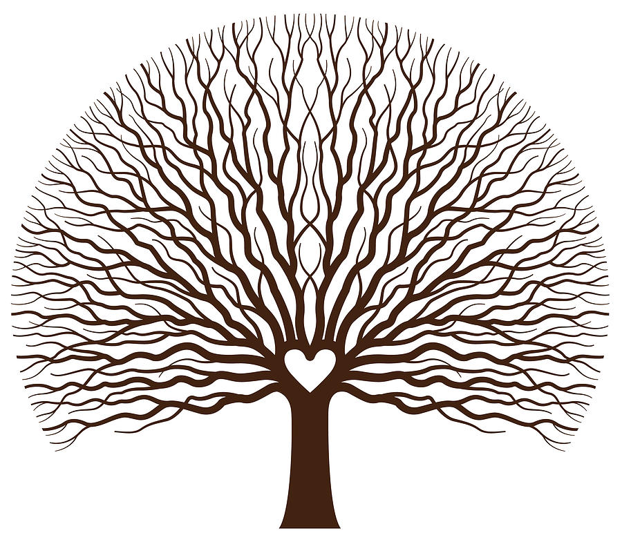 Big oak heart tree illustration Drawing by Johnwoodcock