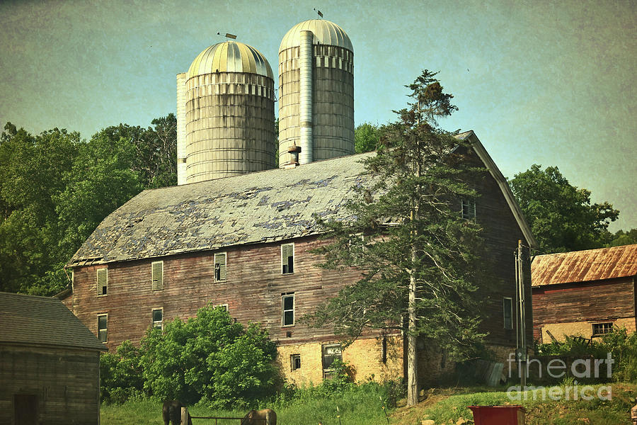Big Ol Wisconsin Barn Photograph by Ron Long