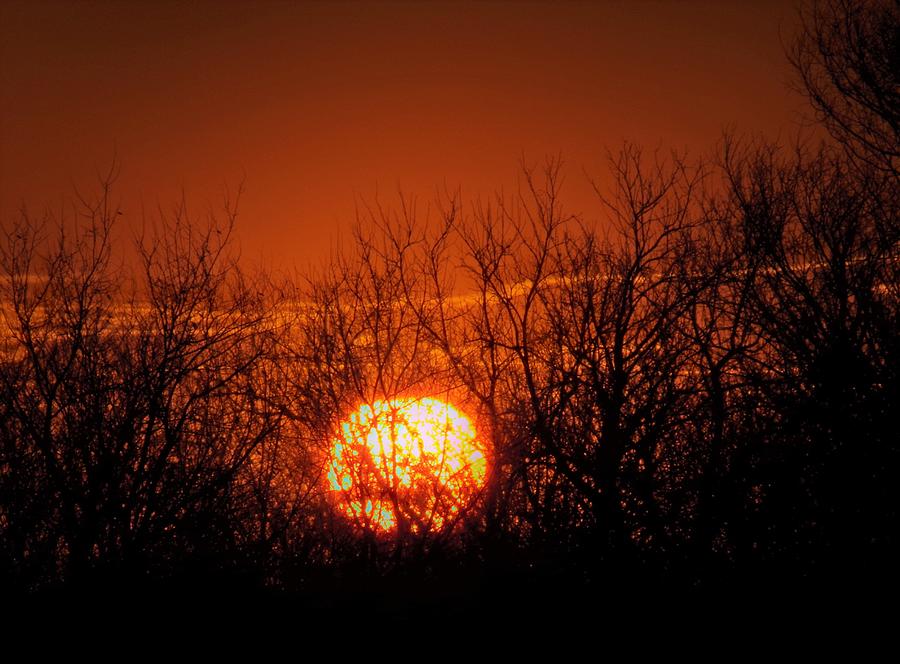 Big Orange Sunset Photograph by Cody Messick - Fine Art America