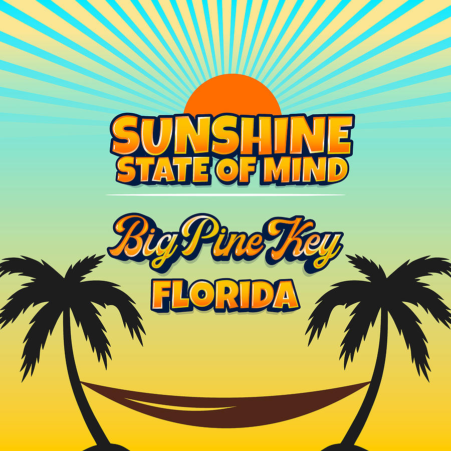 Big Pine Key Florida Sunshine State of Mind Digital Art by Gestalt