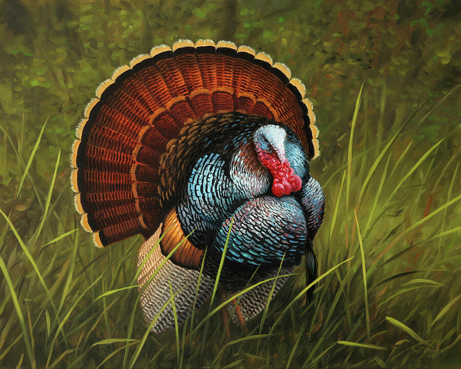 Turkey Painting - Big Poppy by Guy Crittenden