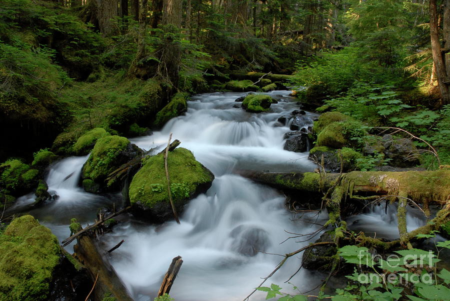 Big Quilcene River Photograph by Brian Walsh - Pixels