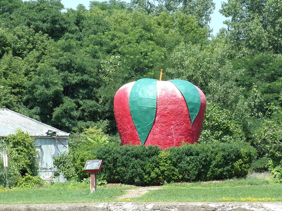 Big Red Apple Photograph by Eddie Feuersanger