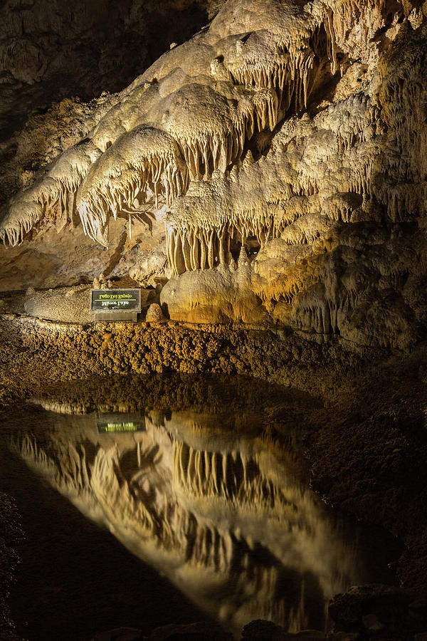 Big Room #18, Carlsbad Caverns Photograph by Dan Hartford