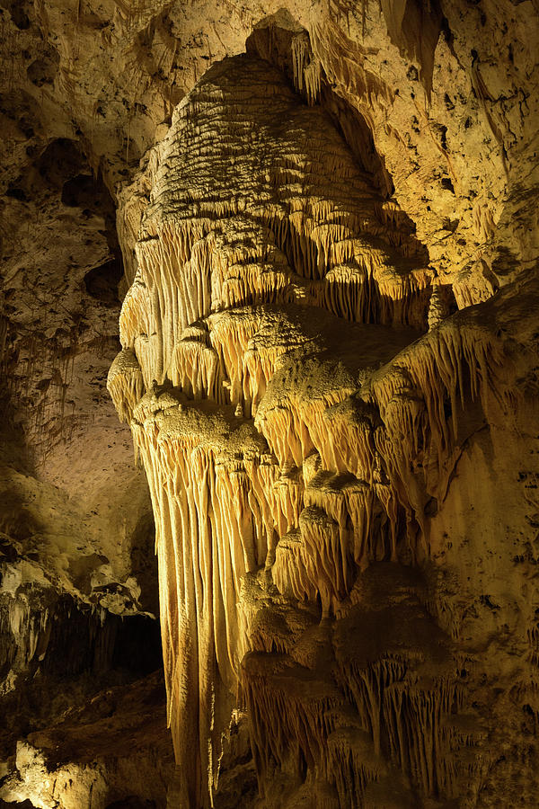 Big Room #23, Carlsbad Caverns Photograph by Dan Hartford