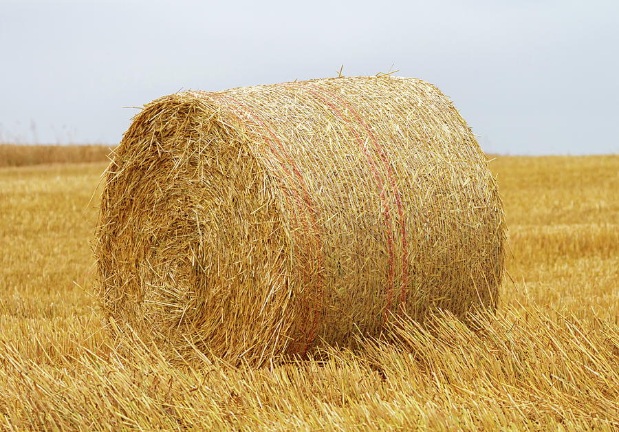 Big round bale of straw in a field after harvest Photograph by Elenarts - Elena Duvernay photo