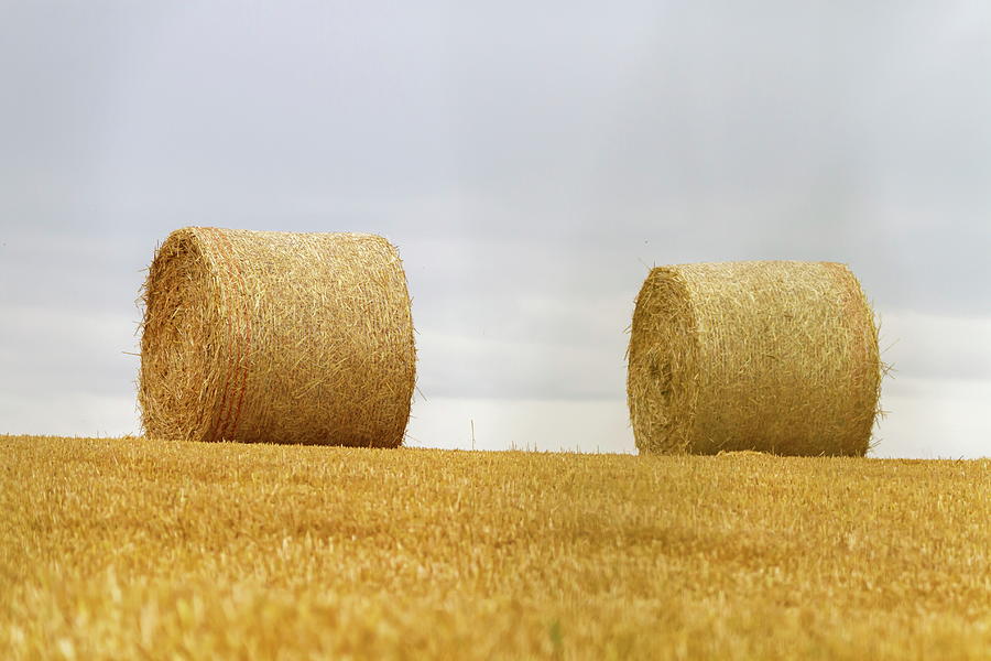 Big round bales of straw in a field after harvest Photograph by Elenarts - Elena Duvernay photo