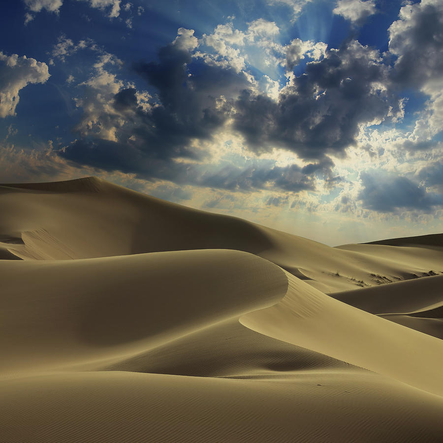 Big sand dune in Sahara desert Photograph by Mikhail Kokhanchikov