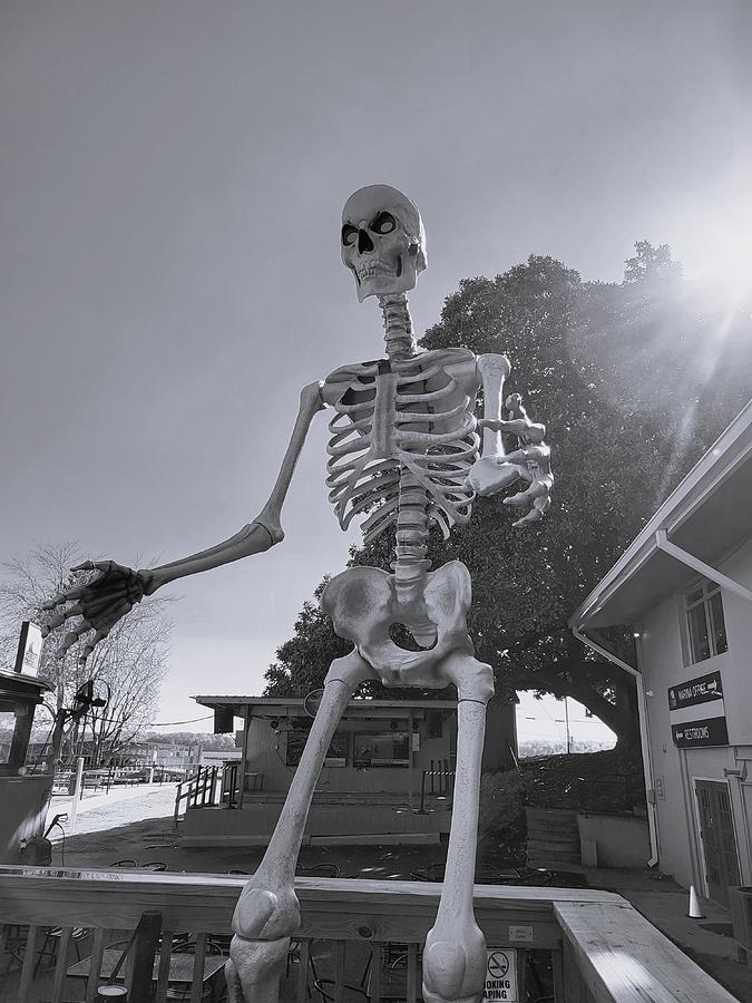 Big Skeleton bw Photograph by Michael VanPatten - Fine Art America