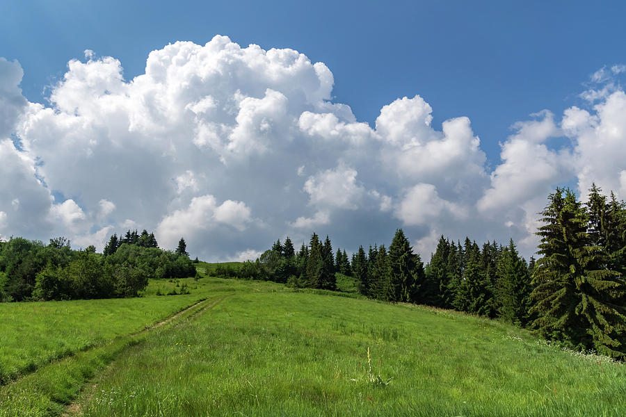 Big Sky Country - Wildflower Meadow Road with Spectacular Clouds Photograph by Georgia Mizuleva