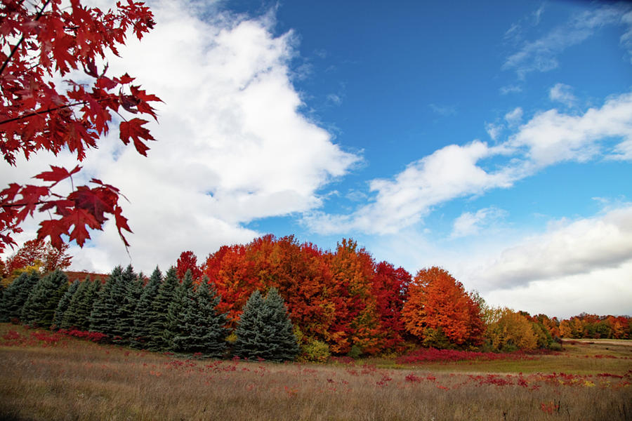Big sky over fall colors in northern Michigan Photograph by Eldon McGraw