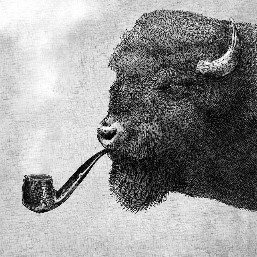 Bison Drawing - Big Smoke - black and white by Eric Fan