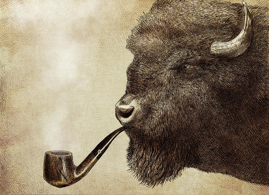 Buffalo Drawing - Big Smoke by Eric Fan