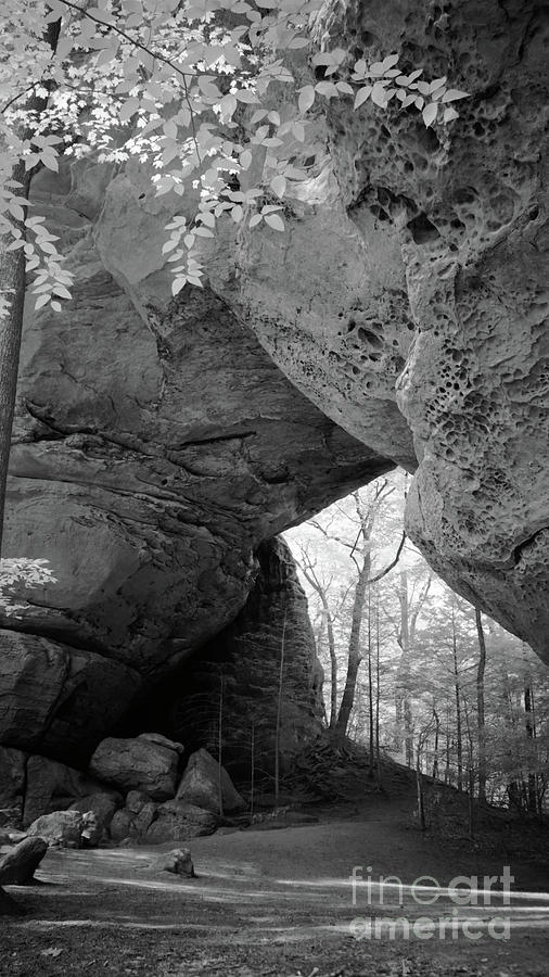 Big South Fork Arch Photograph by Amy Curtis