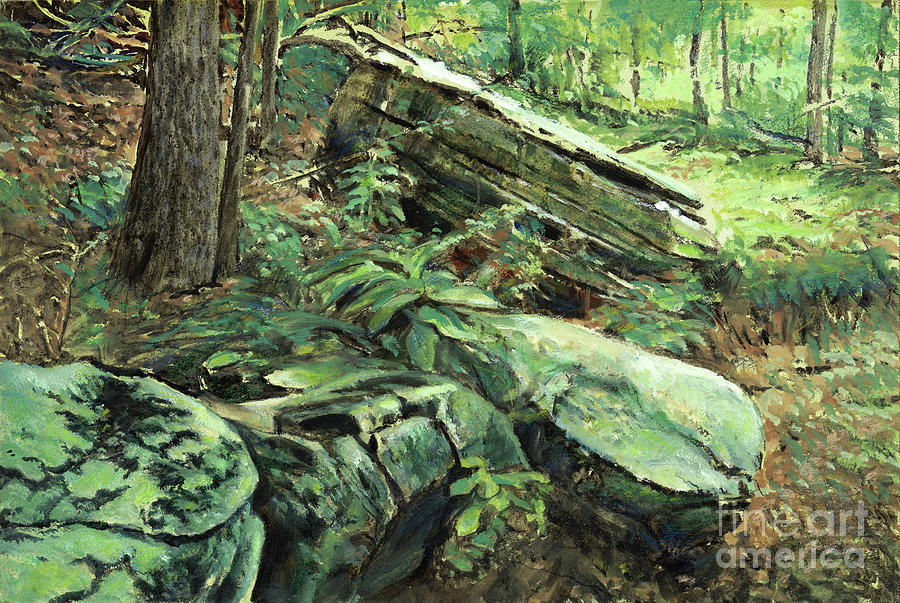 Nature Painting - Big Stones on Trail by Don Langeneckert