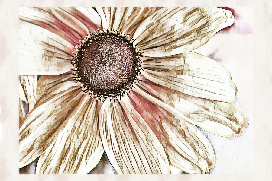 Big Sunflower  Digital Art by Alison Frank