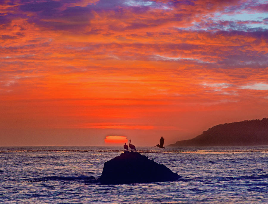Nature Photograph - Big Sur Coast, California, USA by Tim Fitzharris