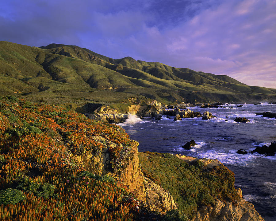 Big Sur Coast Of California Photograph by Ron and Patty Thomas