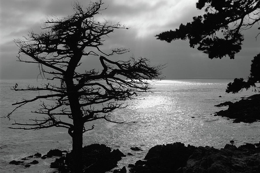 Big Sur,  Monterey Coastline, CA Photograph by Bonnie Colgan