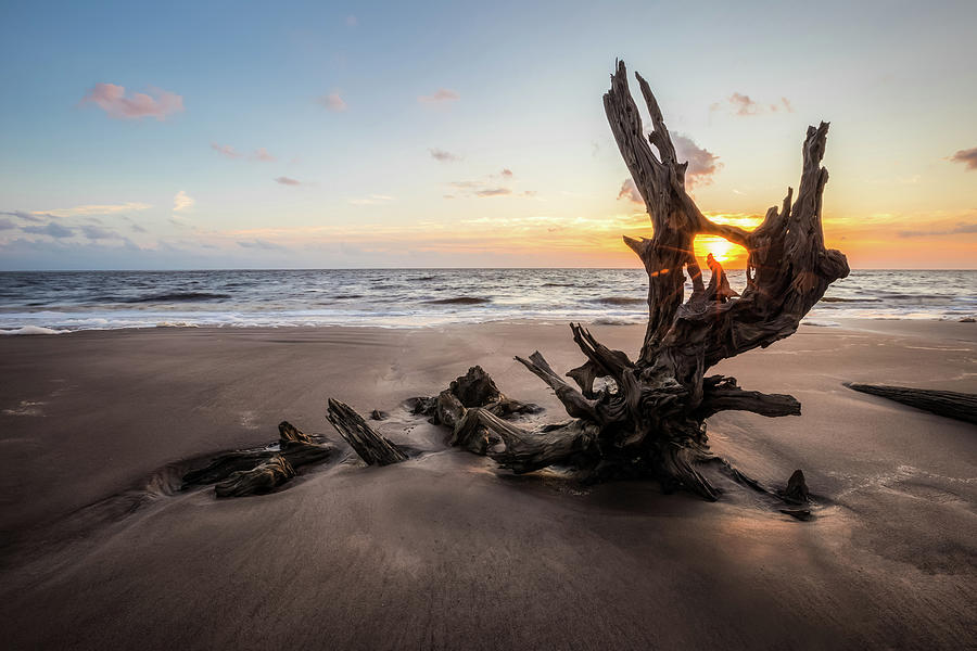 Big Talbot Island's Boneyard Beach in Jacksonville, FL Photograph by