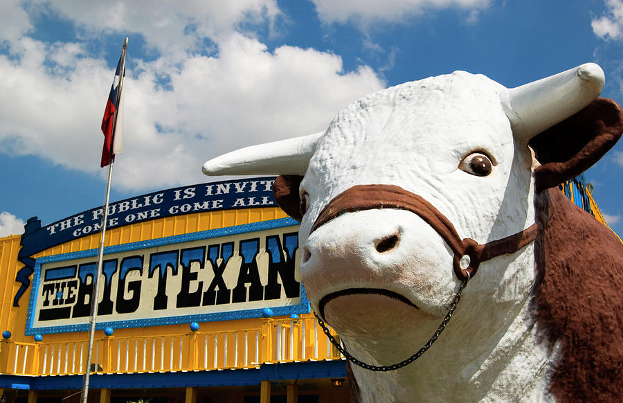 Big Texan Steak Ranch Bull Photograph by Bob Pardue