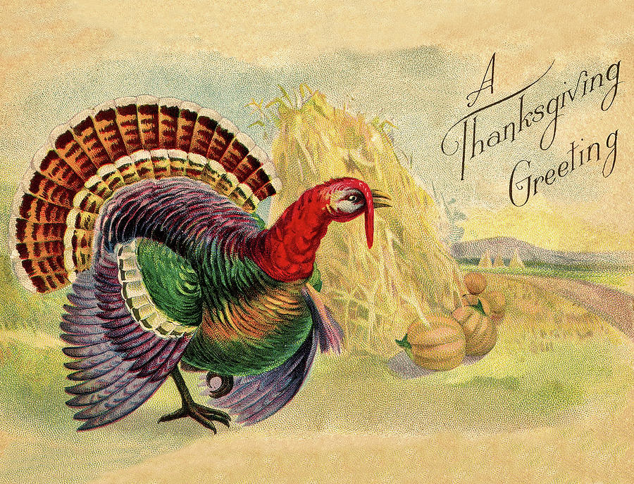 Big Turkey Digital Art by Long Shot