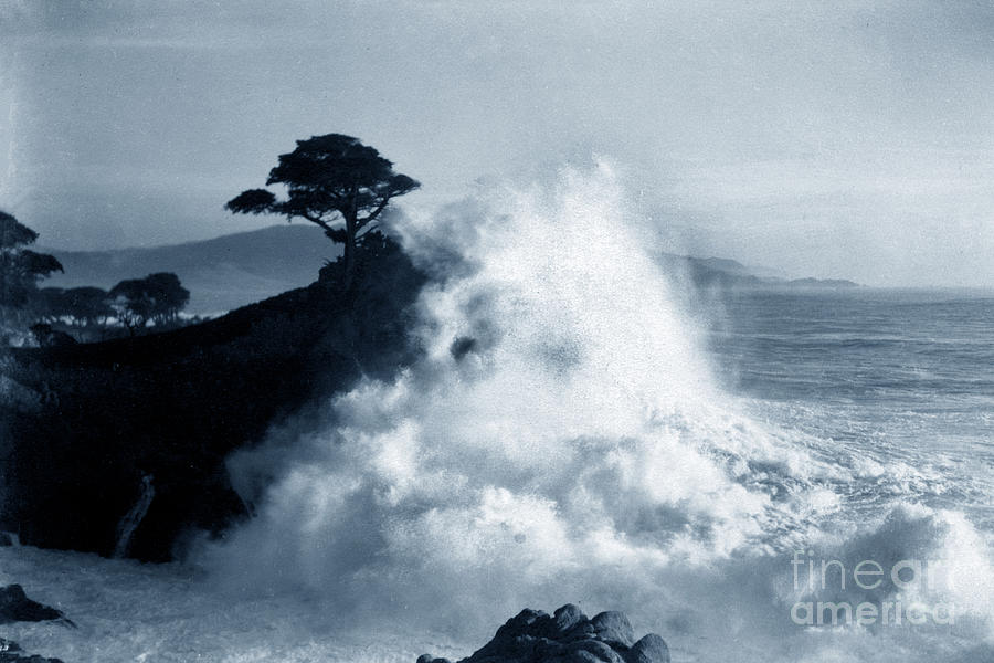 Tree Photograph - Big Wave hitting the Lone Cypress Tree on Midway Point Pebble Beach 1916 by Monterey County Historical Society