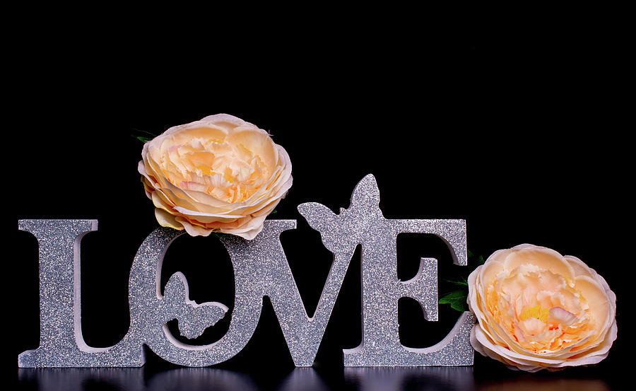 big white letters LOVE cream roses on black background Photograph by ...