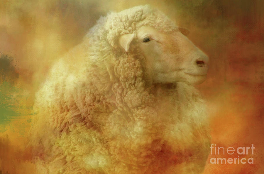 Big Wooly Sheep Digital Art by Linda Cox