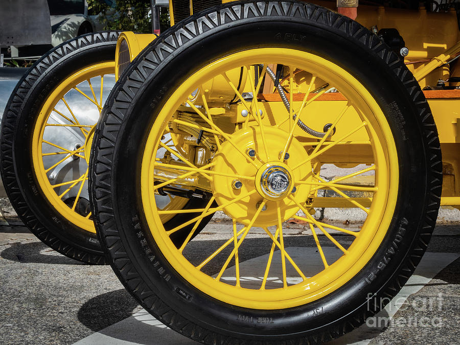 Big Yellow by Robin Zygelman Big Yellow by Robin Zygelman