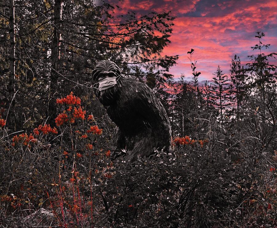 Bigfoot 2020 At Sundown Digital Art By Fred Loring Fine Art America