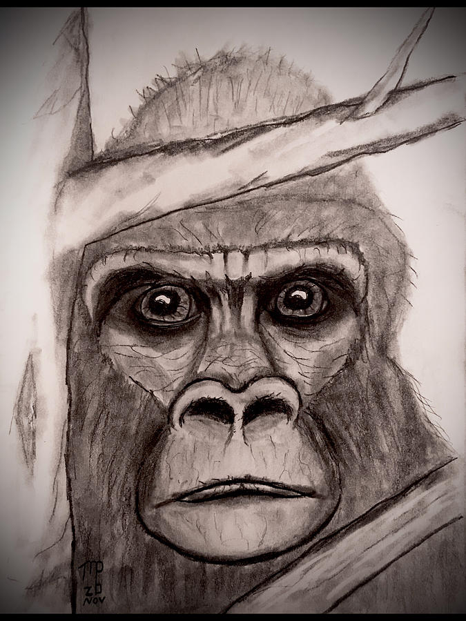 Bigfoot 9 Drawing by Michael Payton Fine Art America
