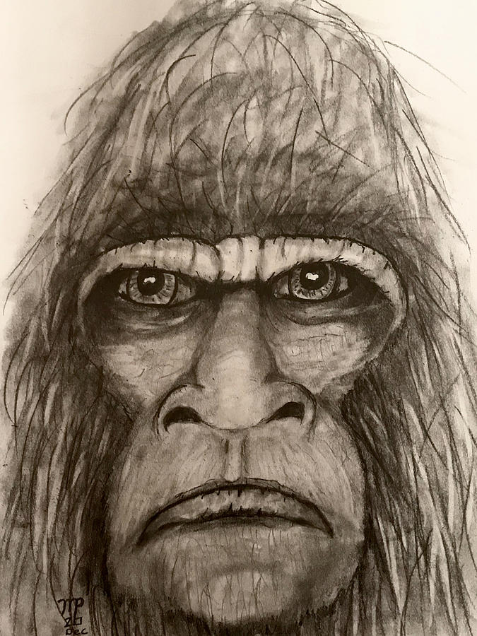 Bigfoot face2 Drawing by Michael Payton