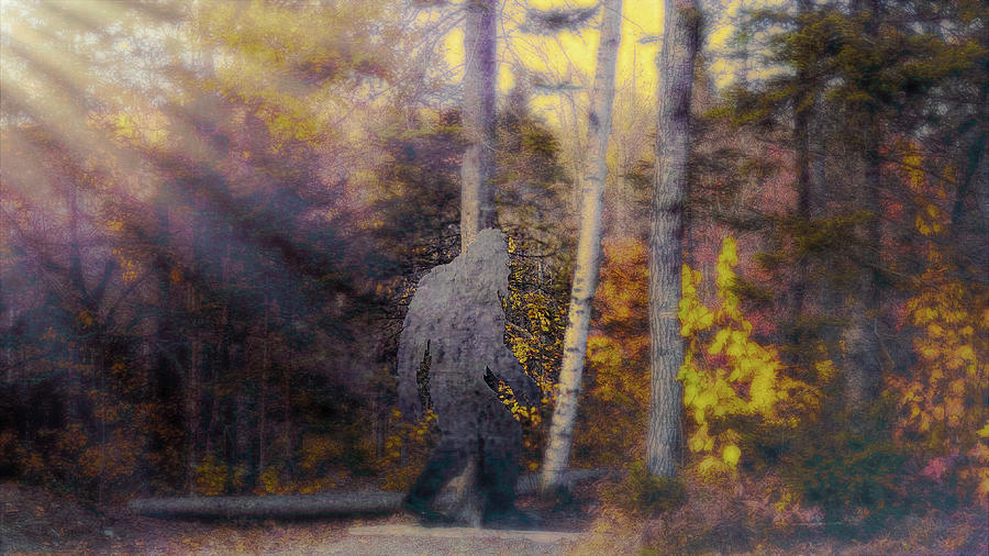Bigfoot in New Hampshire Photograph by Jeff Folger