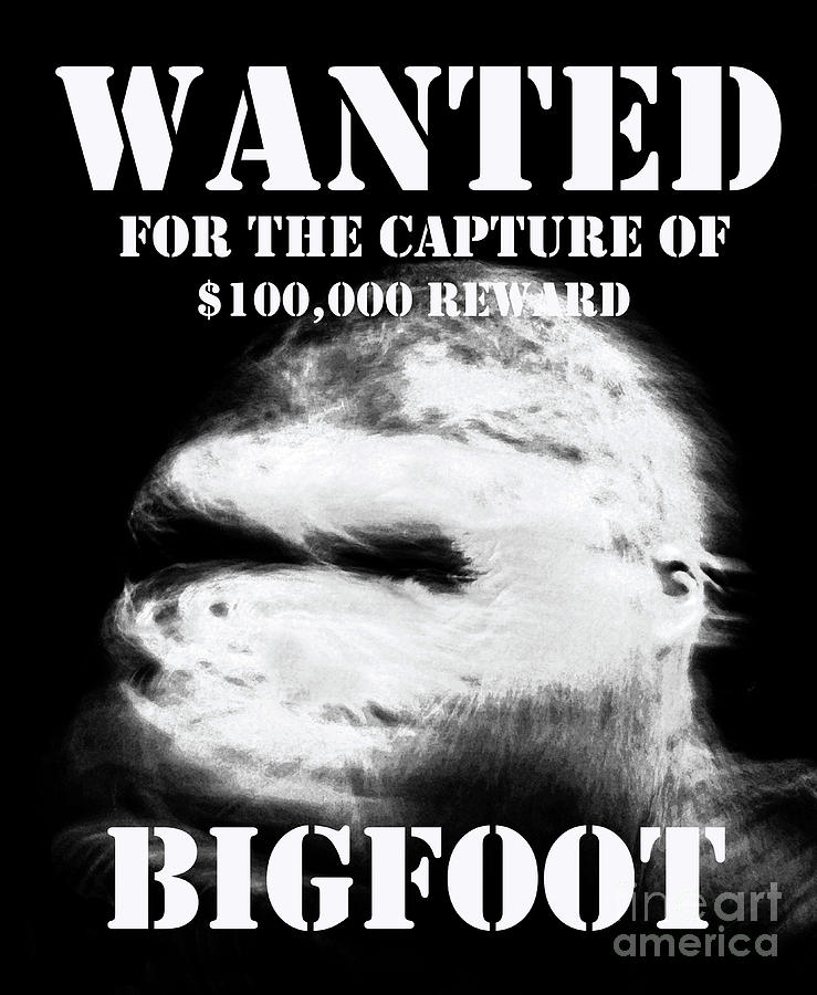 Bigfoot Wanted Poster Mixed Media