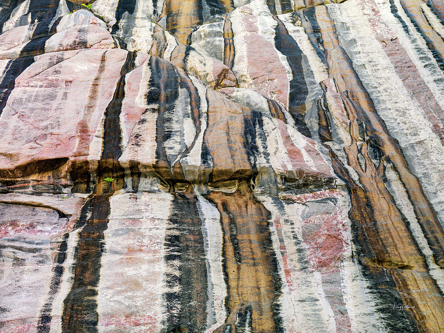 Bighorm Mountain Textures Photograph by Leland D Howard