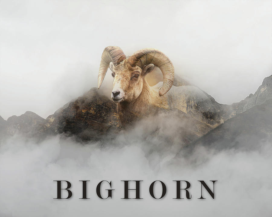 Wildlife Mixed Media - Bighorn by Dan Sproul