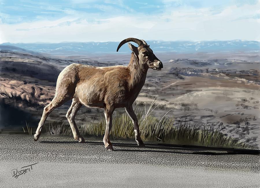 Bighorn by David Luebbert Bighorn by David Luebbert